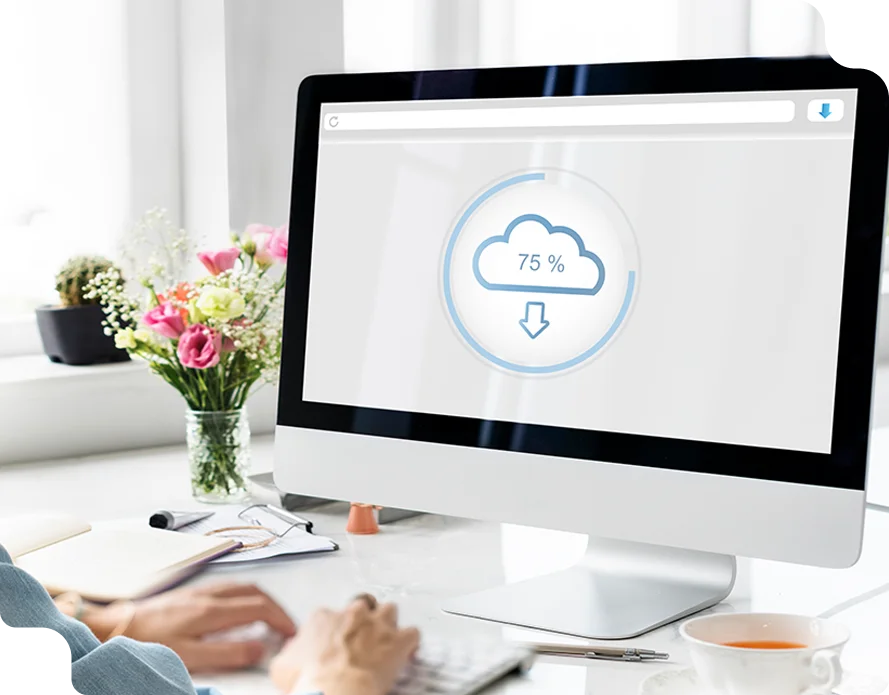 Backup & Disaster Recovery